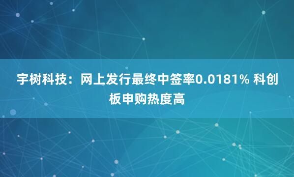 宇树科技：网上发行最终中签率0.0181% 科创板申购热度高