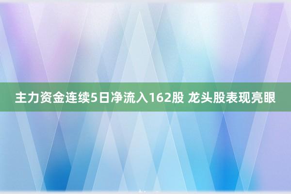 主力资金连续5日净流入162股 龙头股表现亮眼