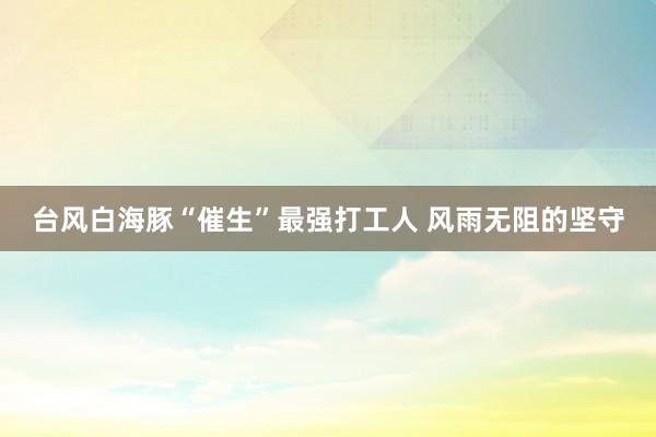 台风白海豚“催生”最强打工人 风雨无阻的坚守