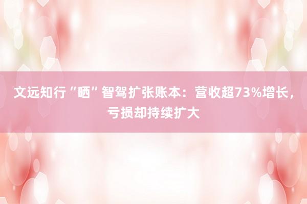文远知行“晒”智驾扩张账本：营收超73%增长，亏损却持续扩大