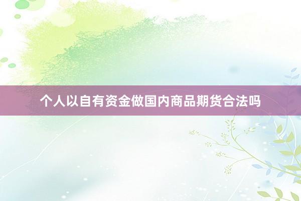 个人以自有资金做国内商品期货合法吗