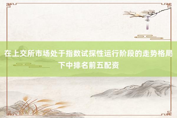 在上交所市场处于指数试探性运行阶段的走势格局下中排名前五配资