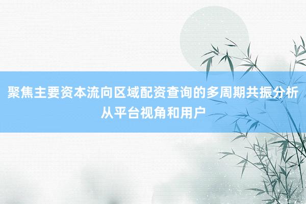 聚焦主要资本流向区域配资查询的多周期共振分析从平台视角和用户
