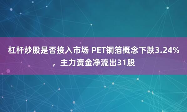 杠杆炒股是否接入市场 PET铜箔概念下跌3.24%，主力资金净流出31股