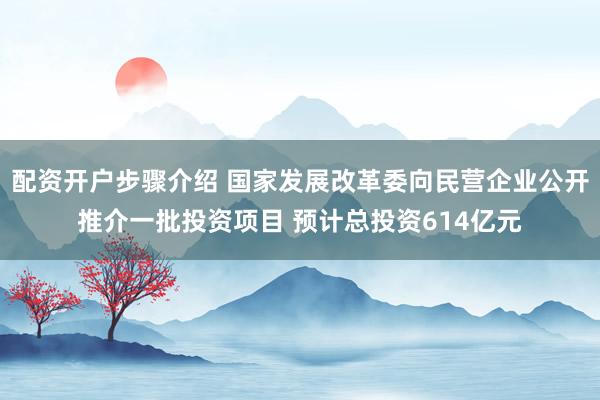 配资开户步骤介绍 国家发展改革委向民营企业公开推介一批投资项目 预计总投资614亿元