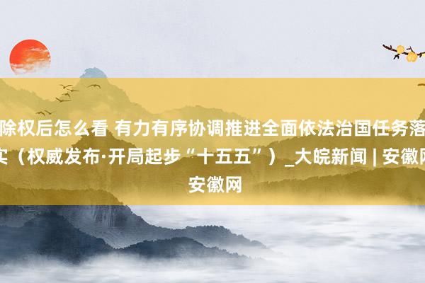 除权后怎么看 有力有序协调推进全面依法治国任务落实（权威发布·开局起步“十五五”）_大皖新闻 | 安徽网